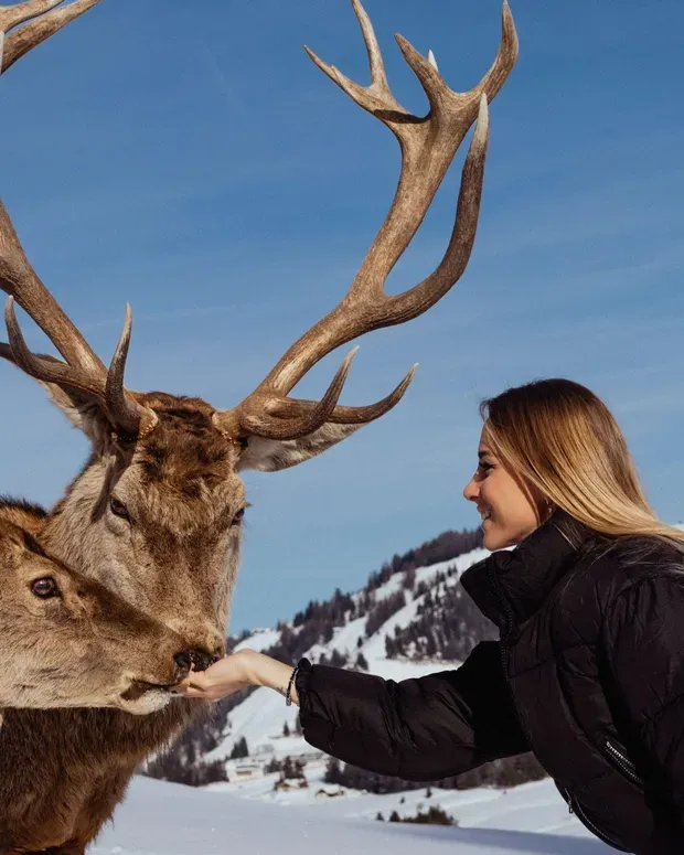 Ragazza che da da mangiare ai cervi - parco cervi Alta Badia